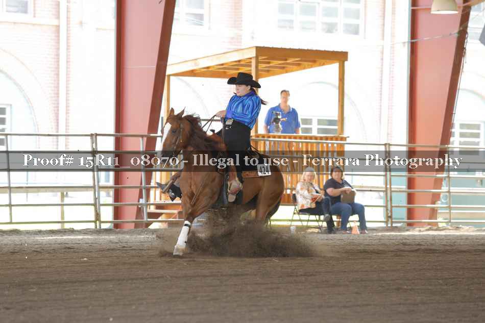 Proof Number 15R11_08070