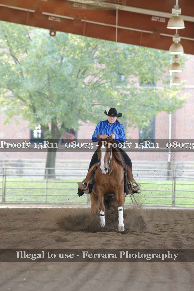 Proof Number 15R11_08073