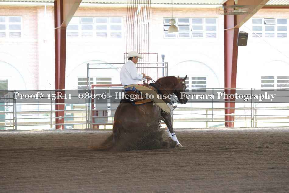 Proof Number 15R11_08076