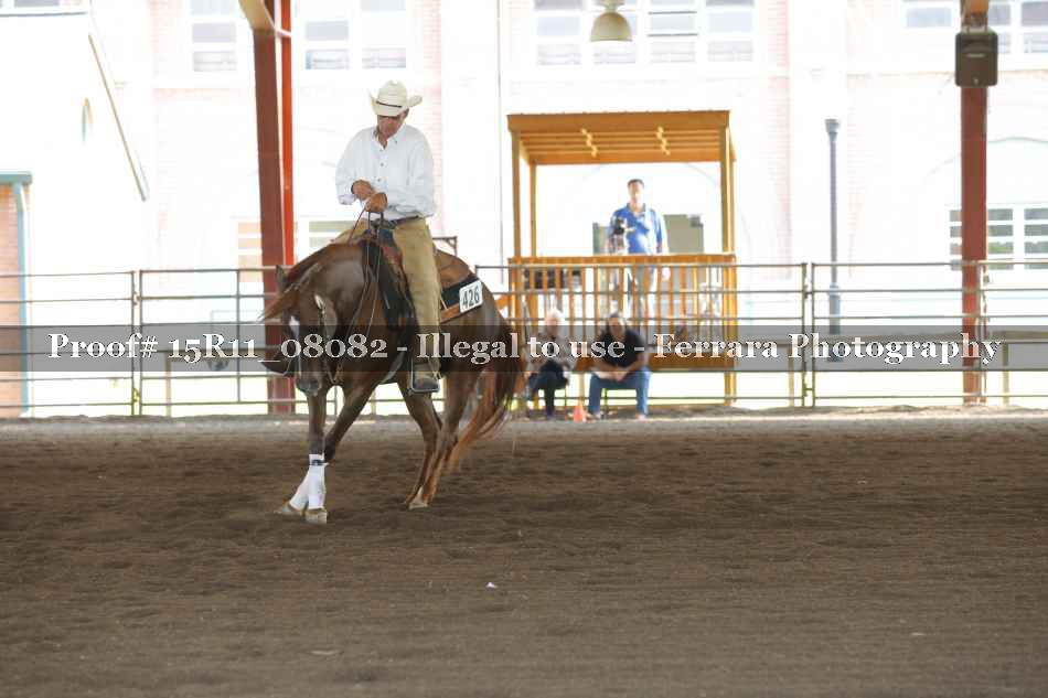 Proof Number 15R11_08082