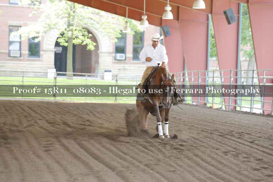 Proof Number 15R11_08083