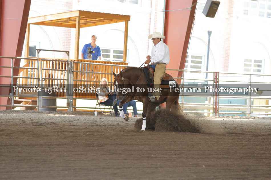Proof Number 15R11_08085