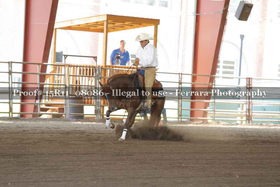 Proof Number 15R11_08086