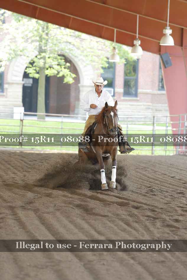 Proof Number 15R11_08088