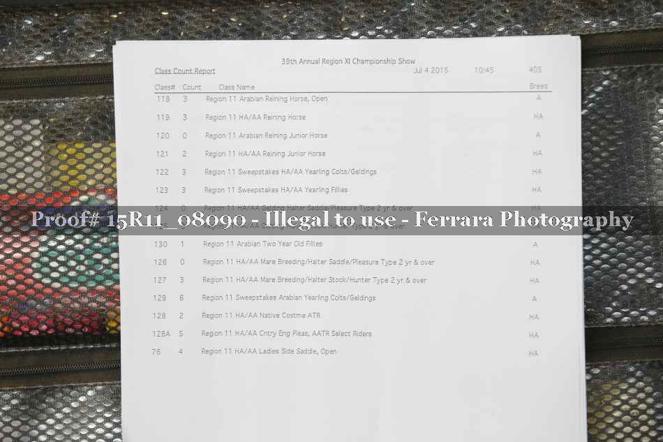 Proof Number 15R11_08090