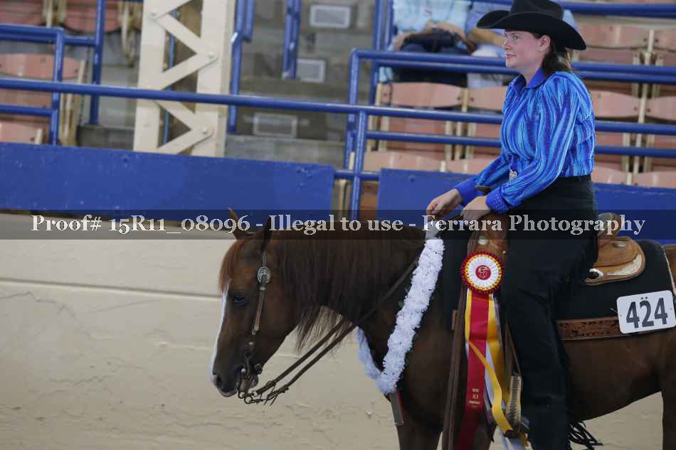 Proof Number 15R11_08096