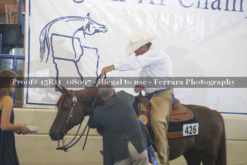 Proof Number 15R11_08097