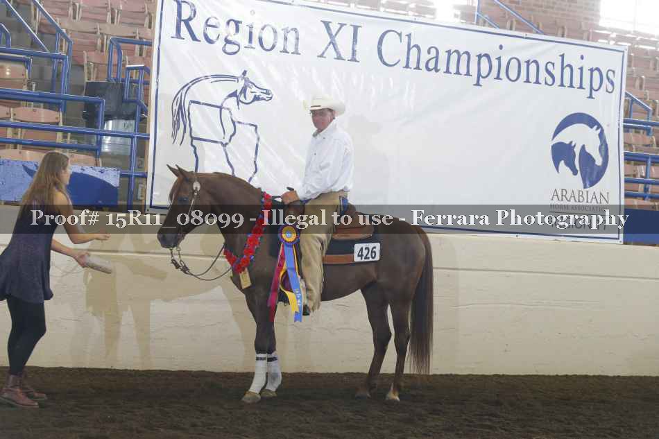 Proof Number 15R11_08099