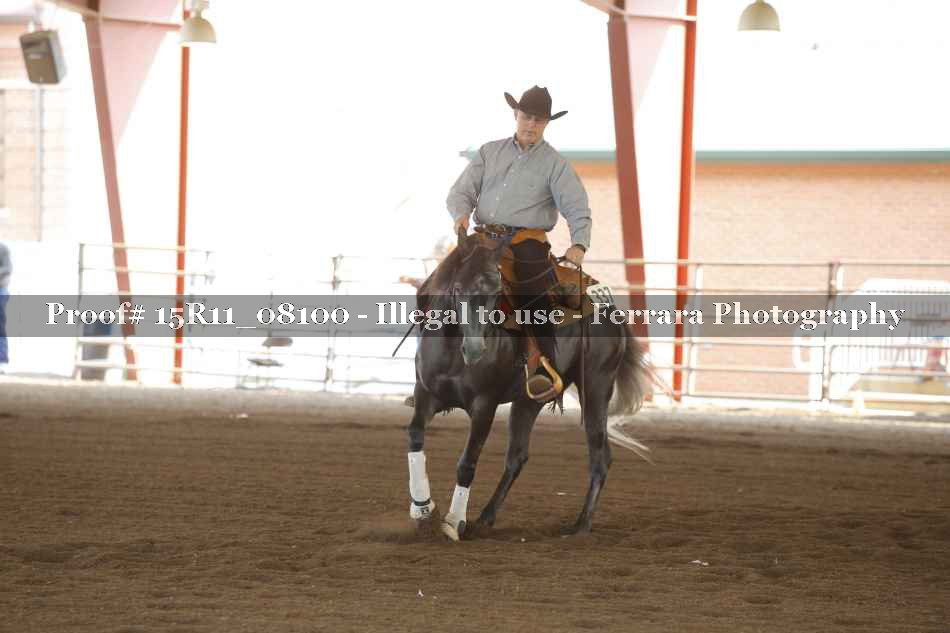 Proof Number 15R11_08100