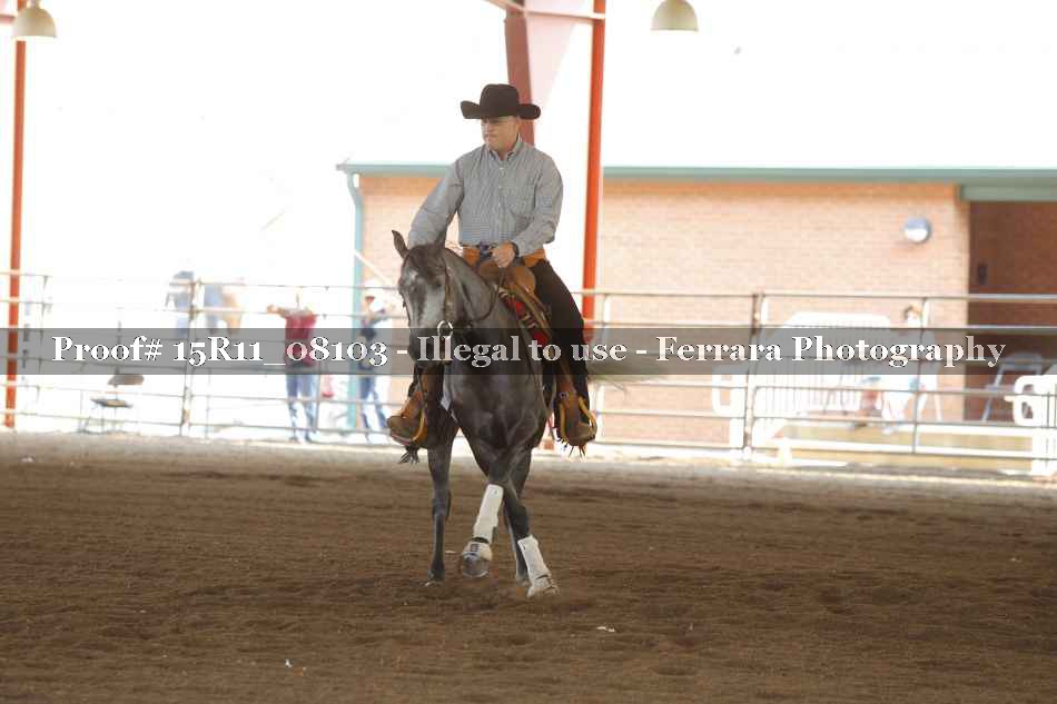 Proof Number 15R11_08103