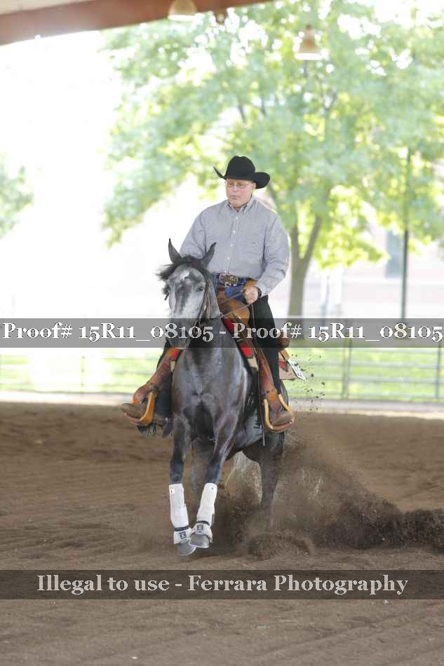 Proof Number 15R11_08105