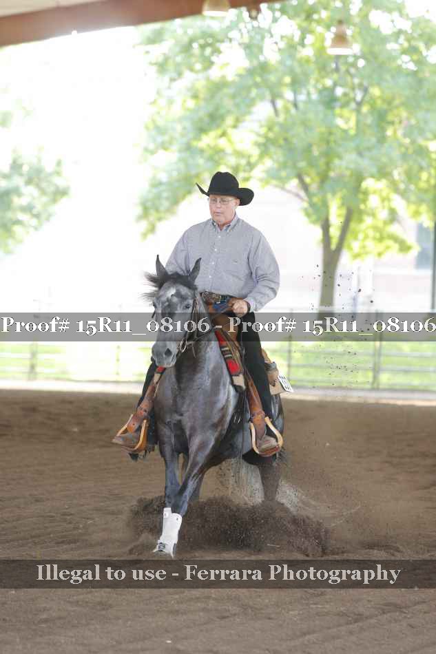 Proof Number 15R11_08106