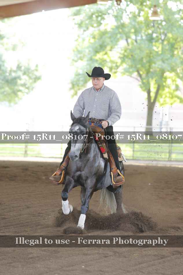 Proof Number 15R11_08107