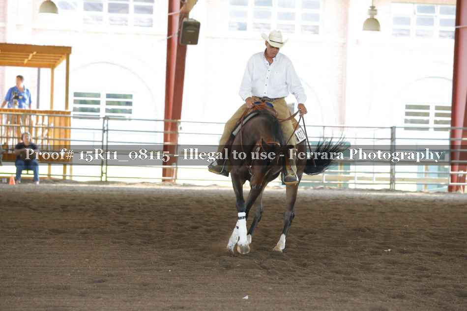 Proof Number 15R11_08115
