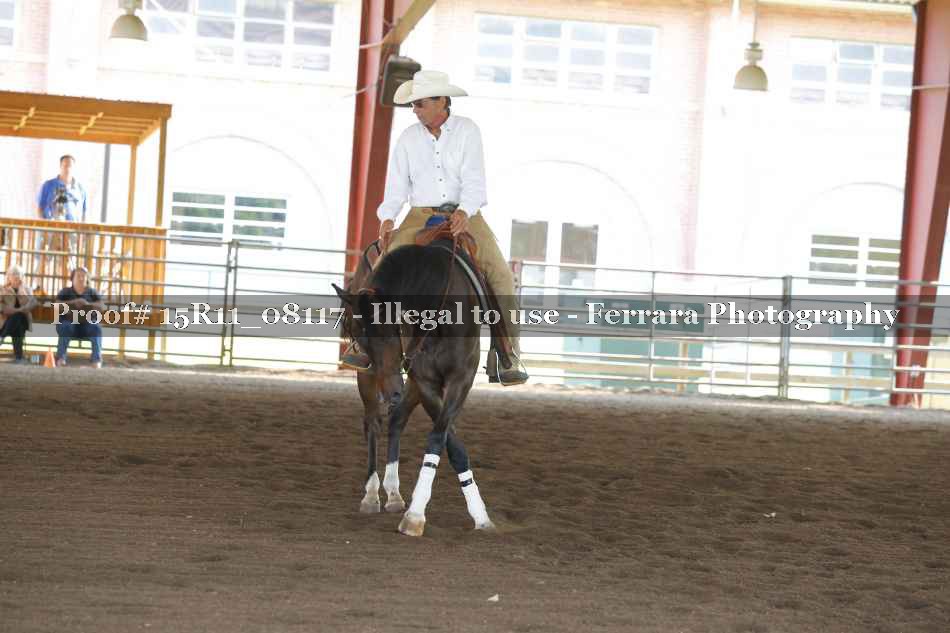 Proof Number 15R11_08117