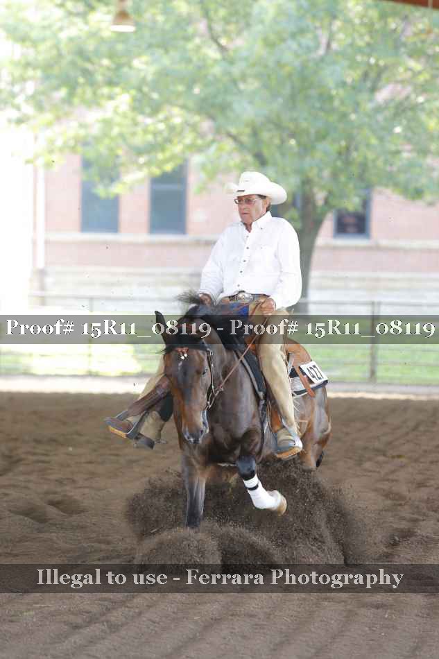 Proof Number 15R11_08119
