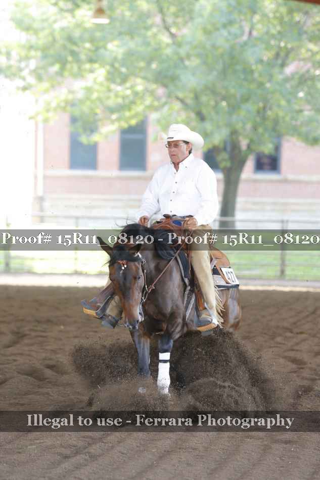 Proof Number 15R11_08120