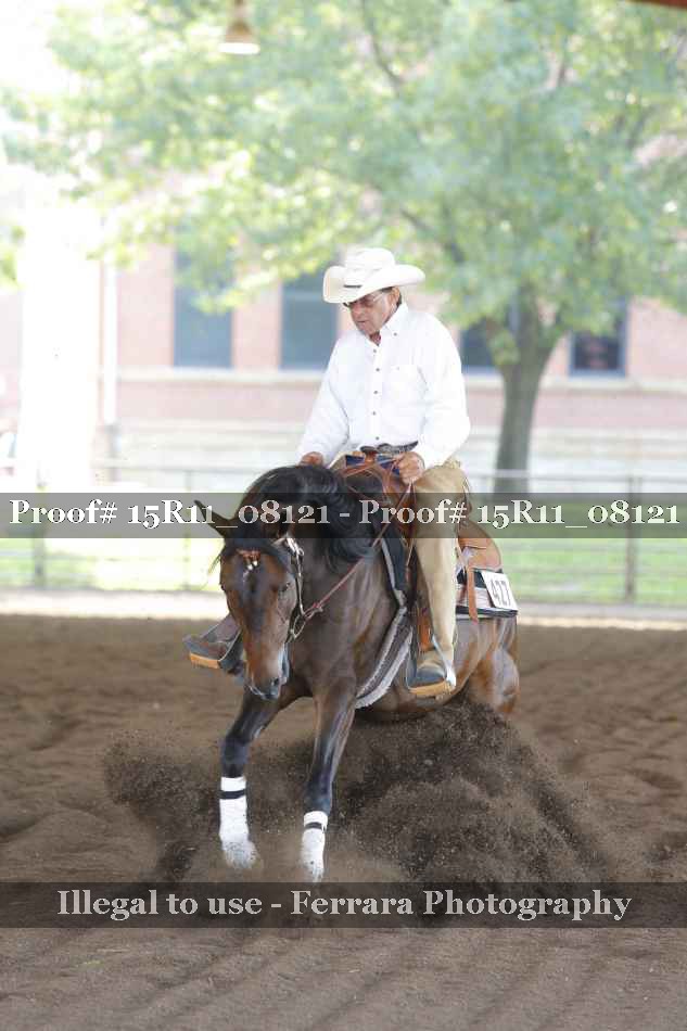 Proof Number 15R11_08121