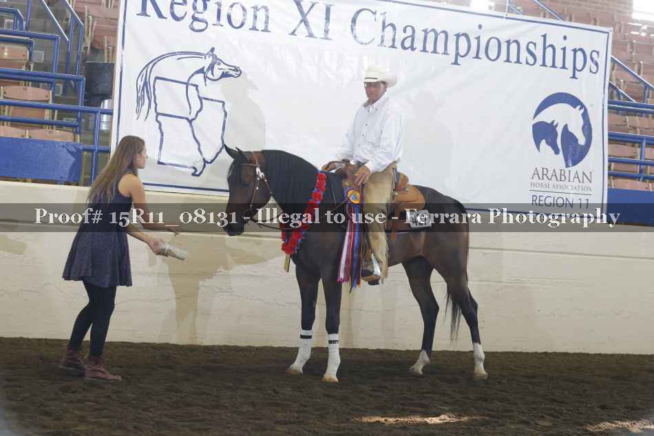 Proof Number 15R11_08131