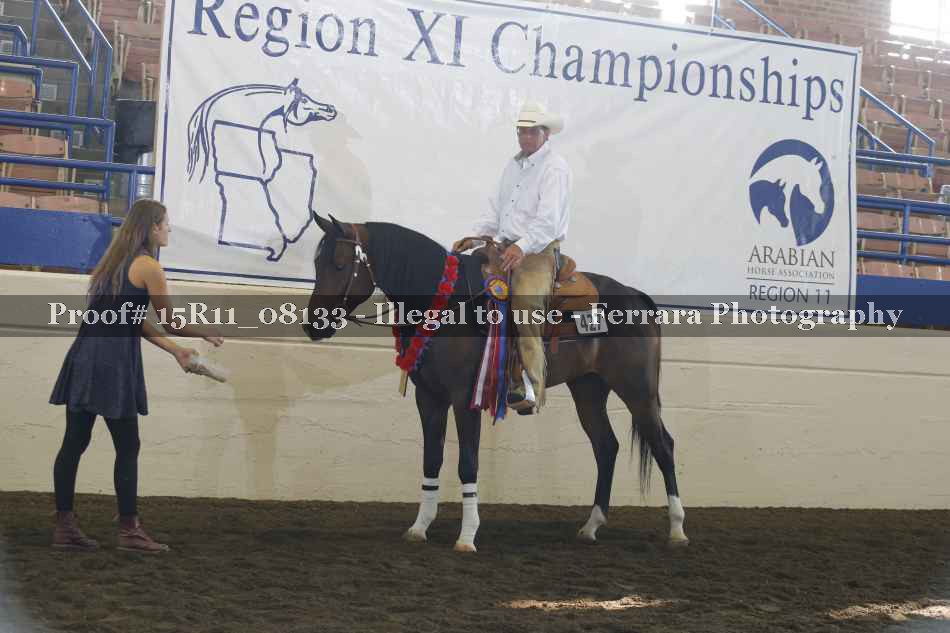 Proof Number 15R11_08133