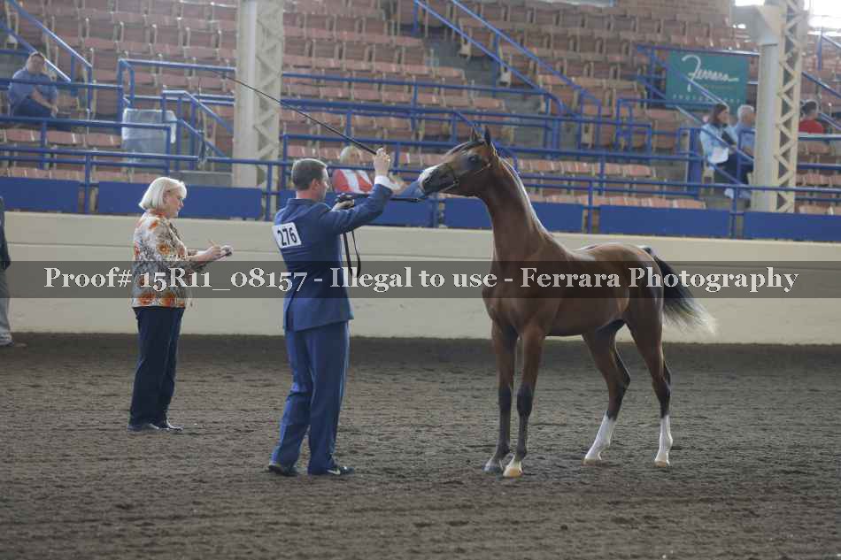 Proof Number 15R11_08157
