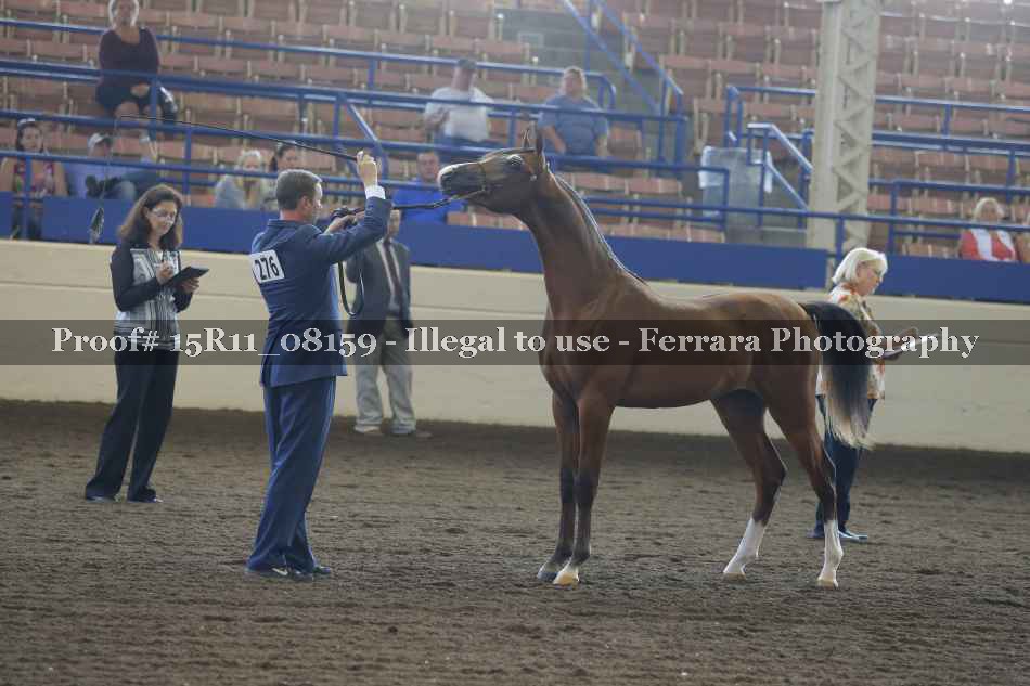 Proof Number 15R11_08159