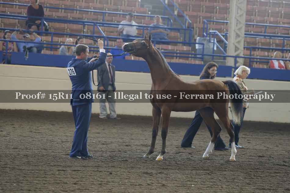 Proof Number 15R11_08161
