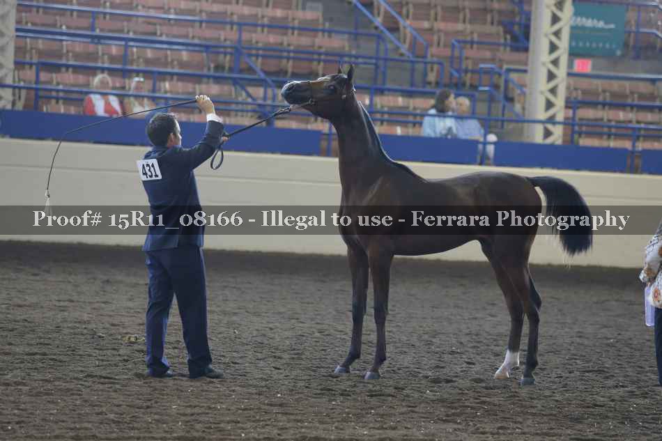 Proof Number 15R11_08166