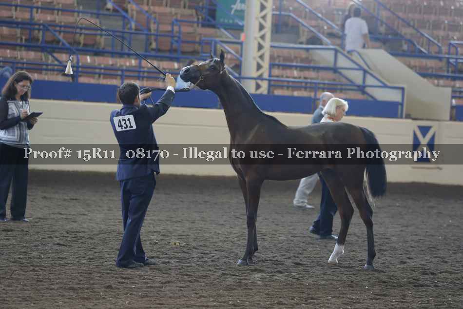 Proof Number 15R11_08170