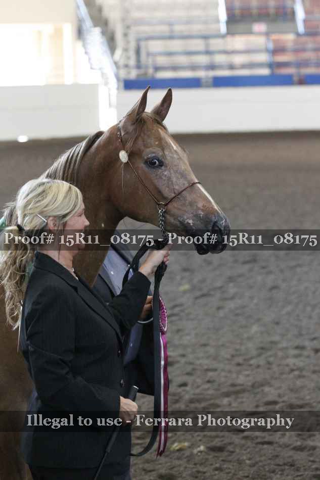 Proof Number 15R11_08175