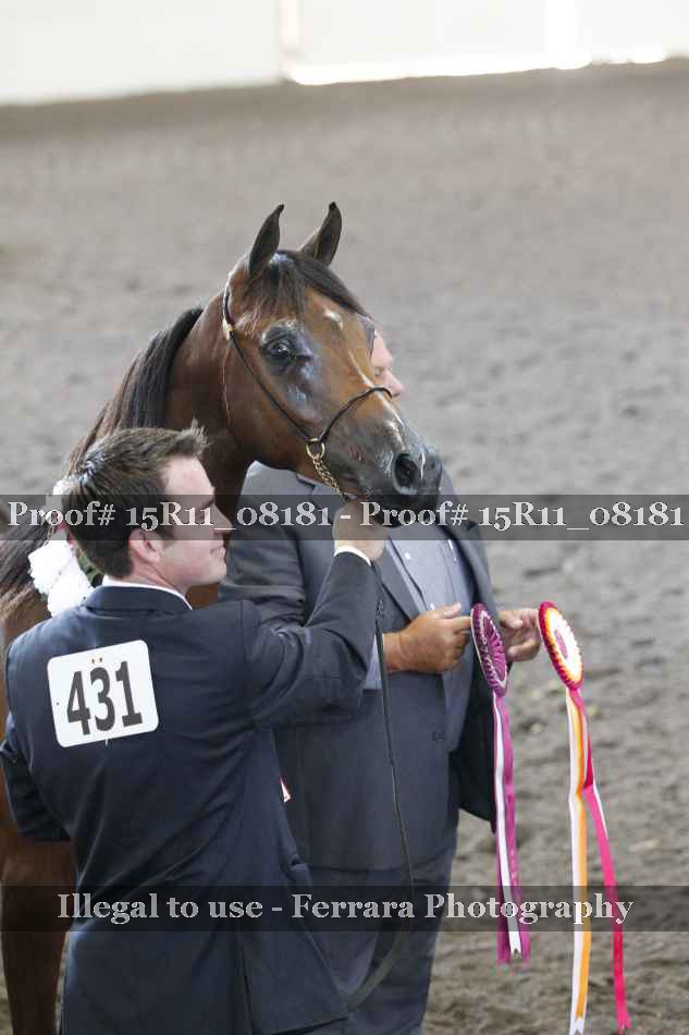 Proof Number 15R11_08181