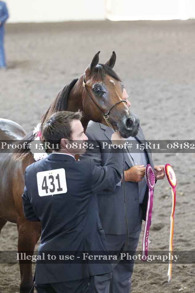 Proof Number 15R11_08182