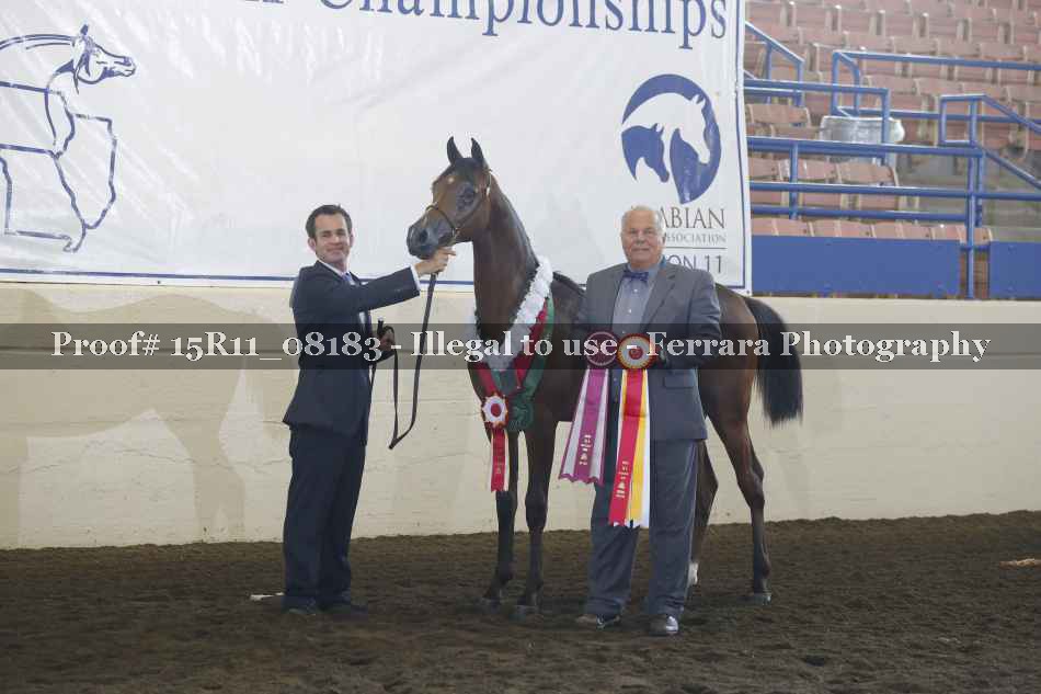 Proof Number 15R11_08183