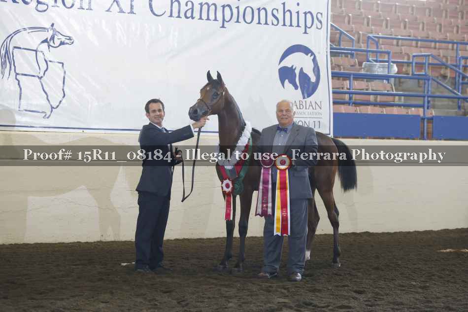 Proof Number 15R11_08184