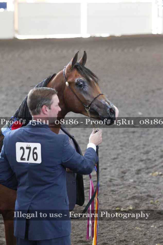 Proof Number 15R11_08186