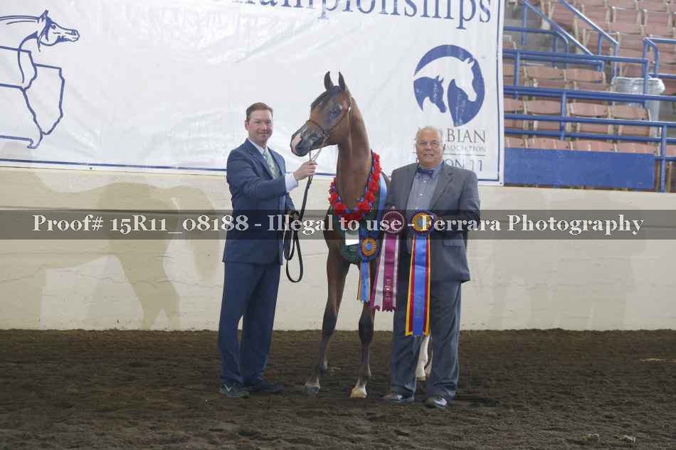 Proof Number 15R11_08188