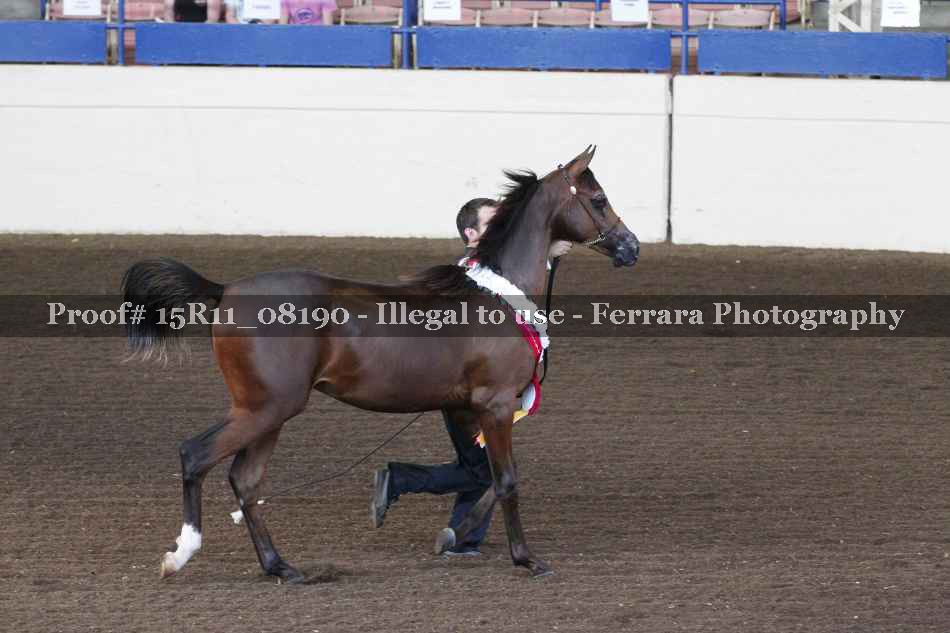 Proof Number 15R11_08190
