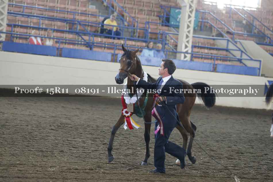 Proof Number 15R11_08191