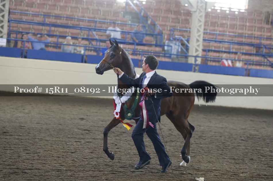 Proof Number 15R11_08192