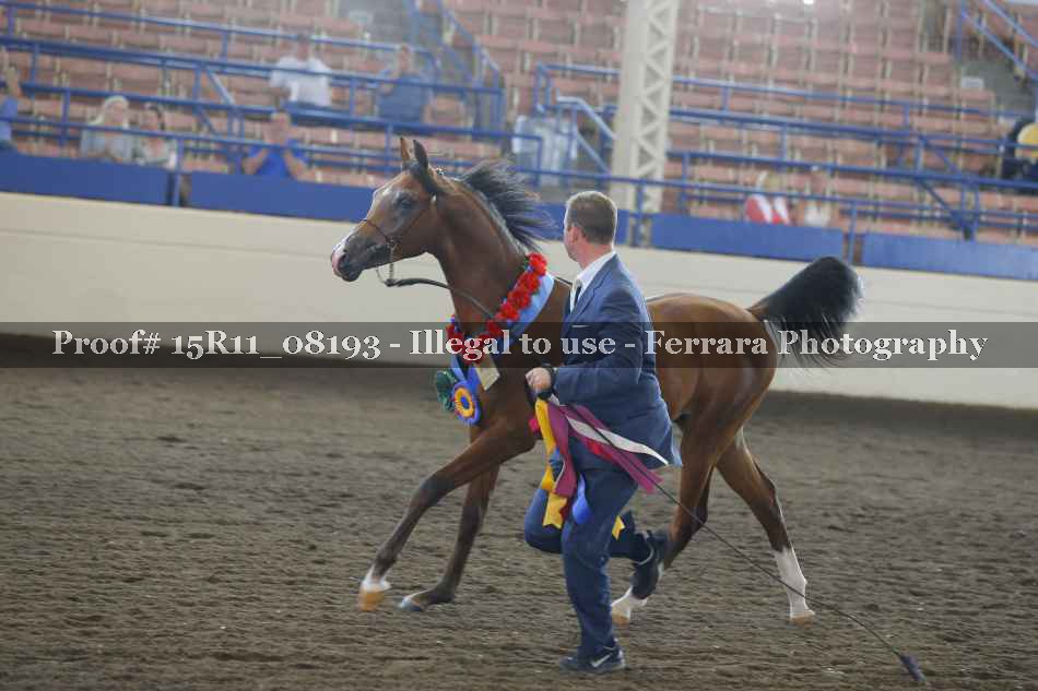 Proof Number 15R11_08193