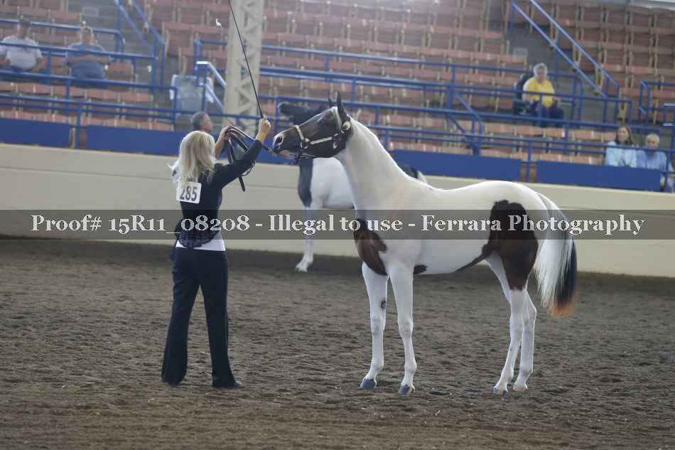 Proof Number 15R11_08208