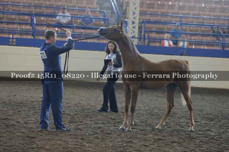 Proof Number 15R11_08220