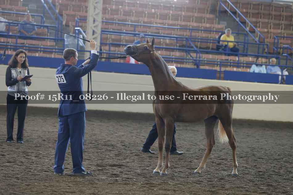 Proof Number 15R11_08226