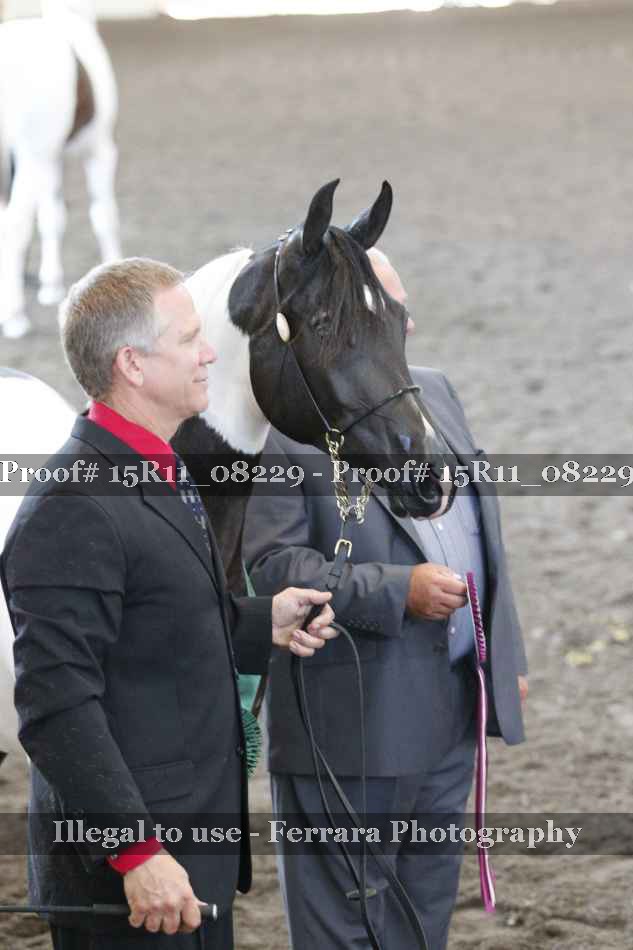 Proof Number 15R11_08229