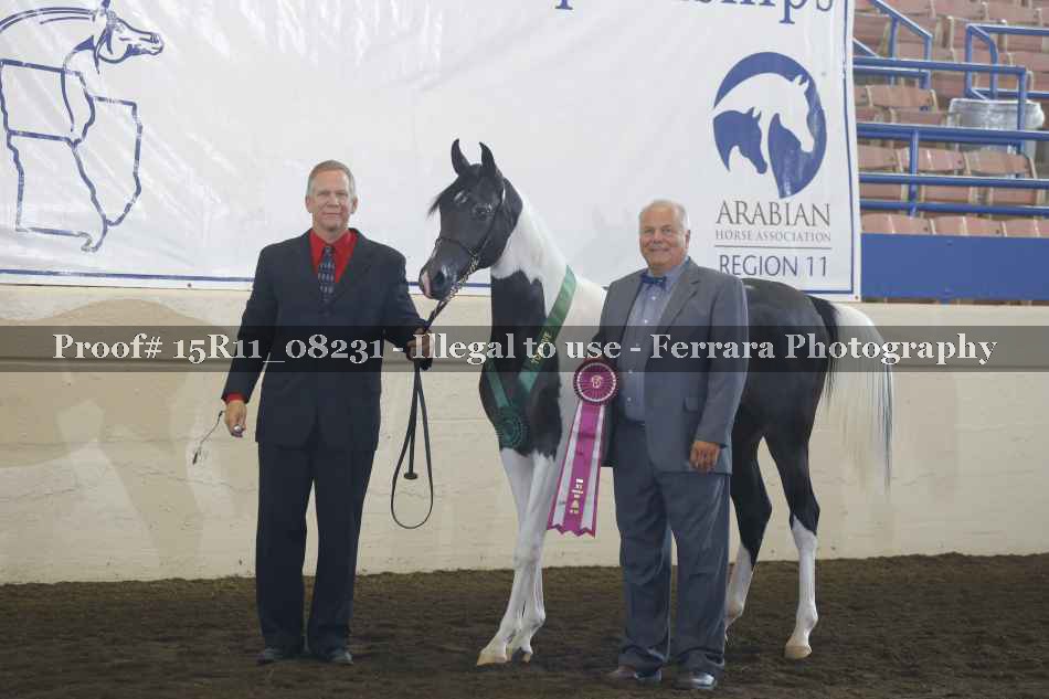 Proof Number 15R11_08231