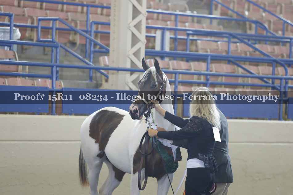 Proof Number 15R11_08234