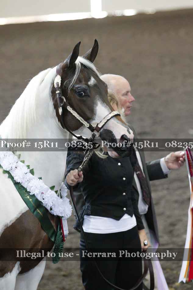 Proof Number 15R11_08235