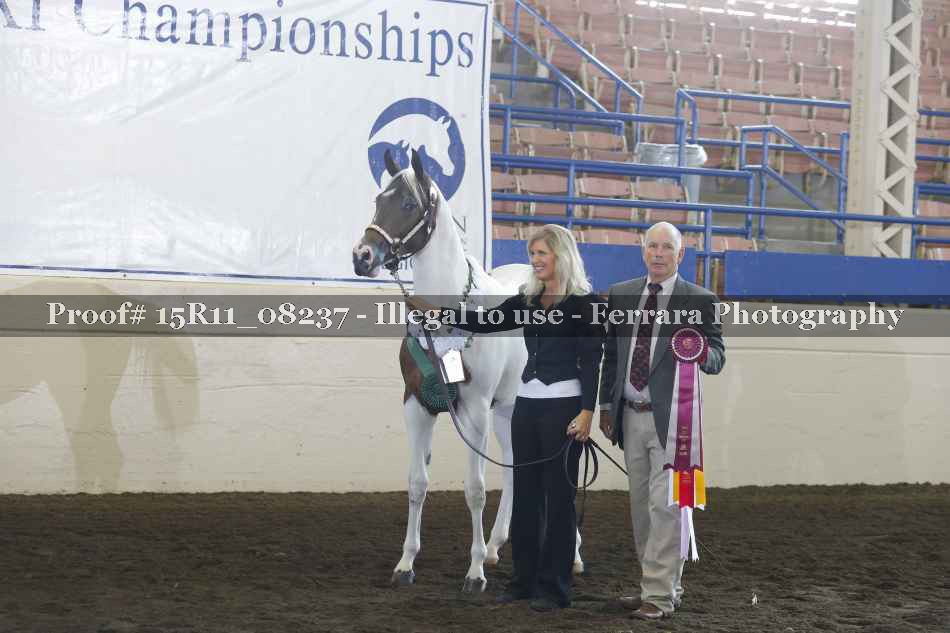Proof Number 15R11_08237