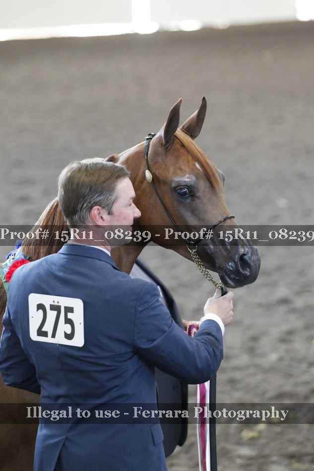 Proof Number 15R11_08239