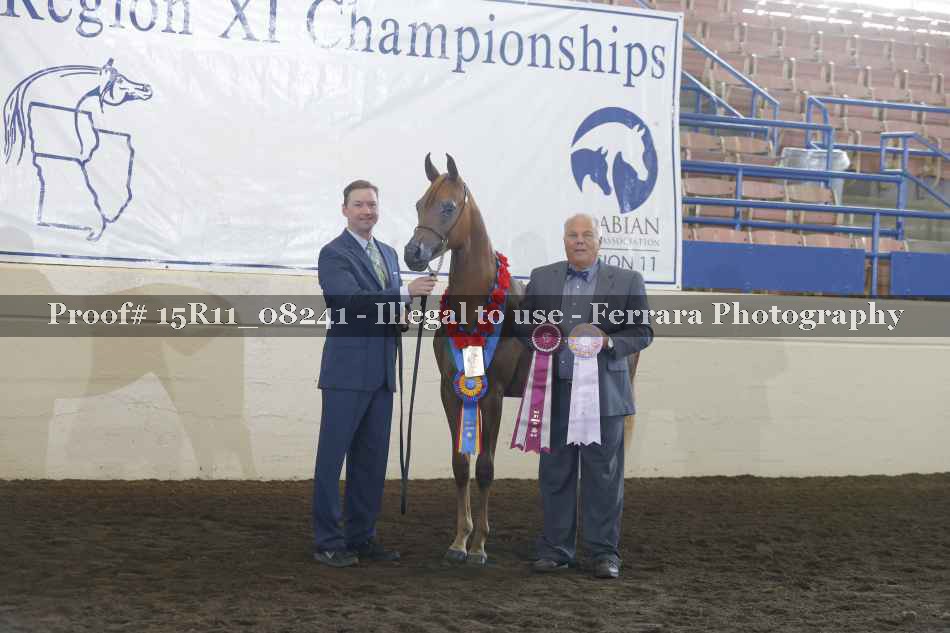 Proof Number 15R11_08241